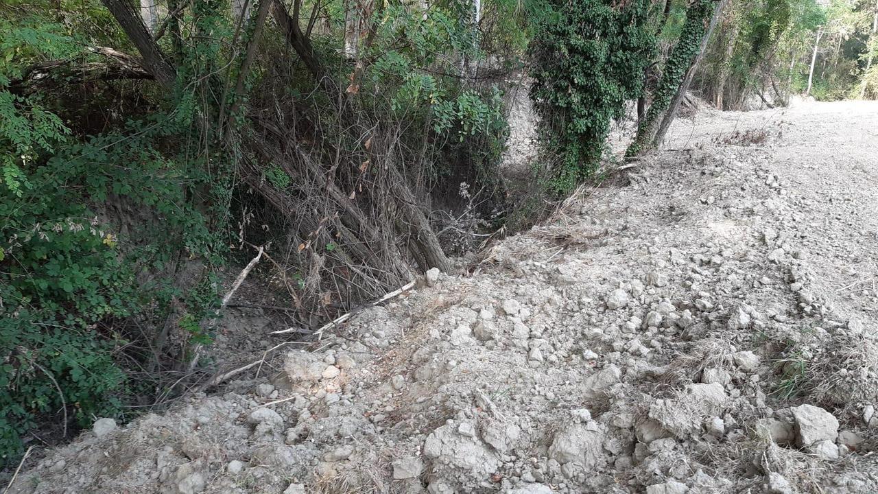 Il movimento terra rilevato dai carabinieri forestali nella località "Il Pino" a Certaldo