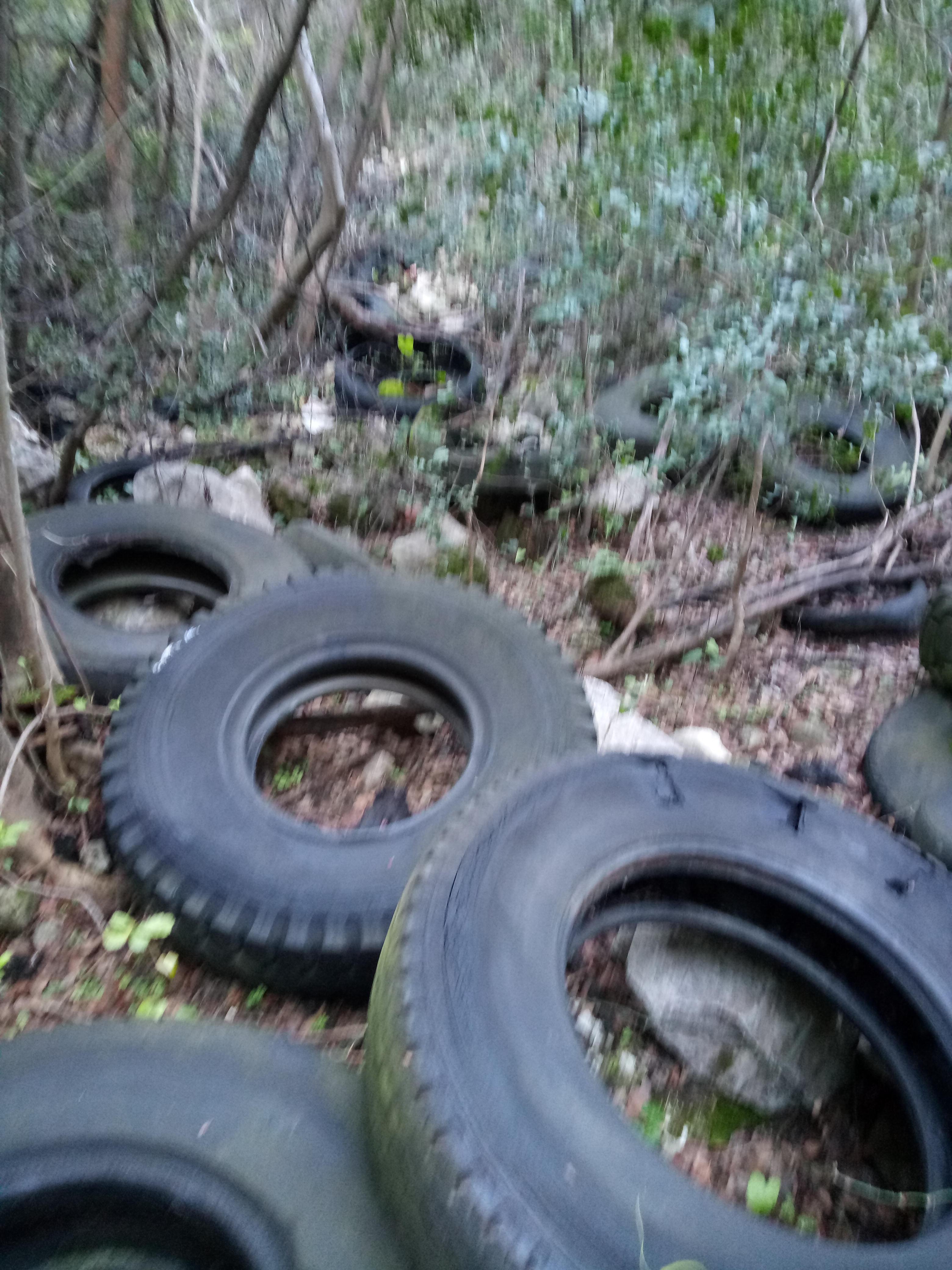 Gomme da camion e rifiuti industriali abbandonati a ridosso del parco di San Silvestro