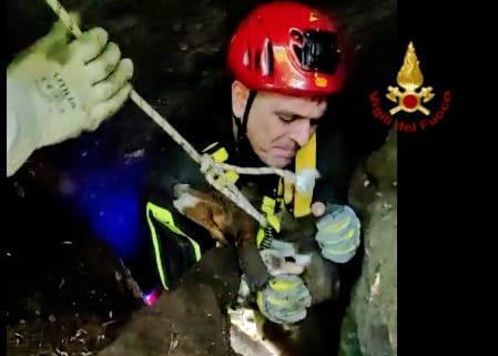 Due cani sprofondano in un cunicolo a Sorradile: salvati dai vigili del fuoco