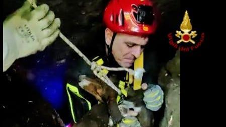 Due cani sprofondano in un cunicolo a Sorradile: salvati dai vigili del fuoco