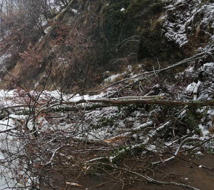 Terra e alberi sulla strada Chiusa al traffico la provinciale di Sillano 