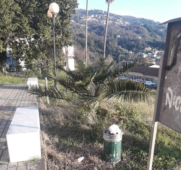 Villa Menzione in degrado, Alberti chiede un intervento