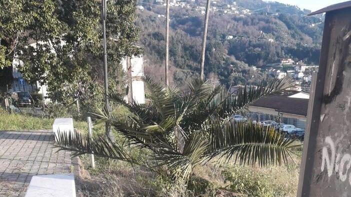 Villa Menzione in degrado, Alberti chiede un intervento