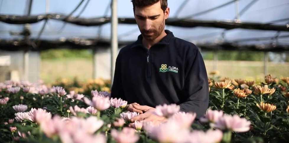 I fiori di Lorenzo simbolo di una rinascita 