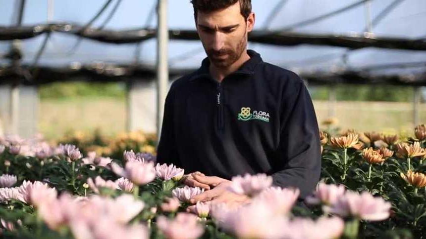 I fiori di Lorenzo simbolo di una rinascita