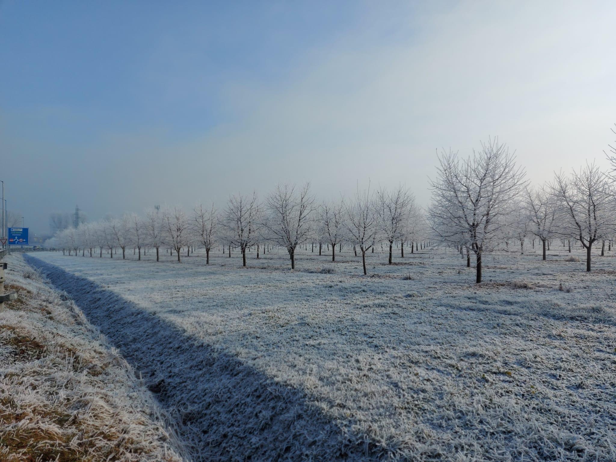Modena, giorni di nebbioni e  galaverna: "Ma il vero freddo è un'altra cosa"