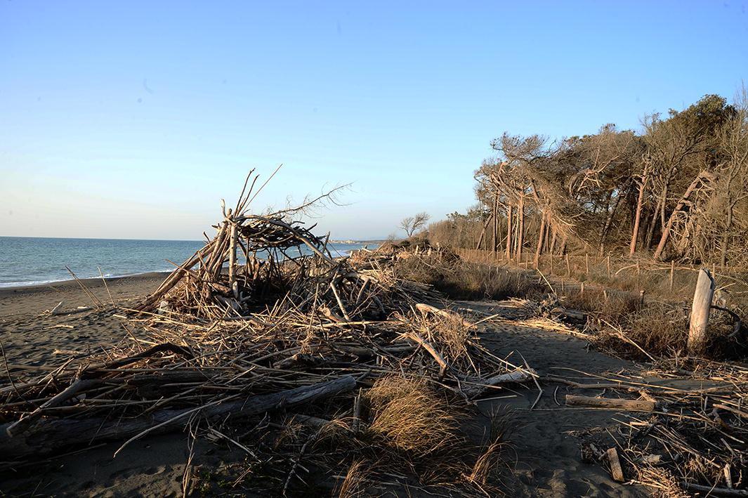 La spiaggia di Bibbona dove sarebbe avvenuto lo stupro