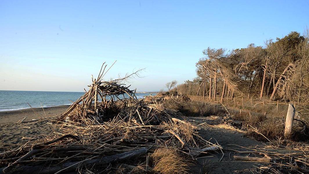 La spiaggia di Bibbona dove sarebbe avvenuto lo stupro