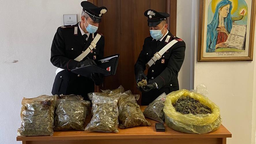 Olbia, in una villetta di Cugnana trovati 118 chili di marijuana 