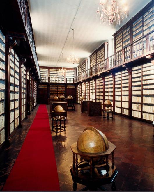 Biblioteca da salvare, la petizione va oltre i confini nazionali: raccolte 6mila firme