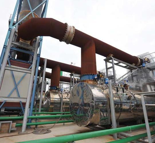 Centrale a biomasse riaperta Subito torna il cattivo odore 