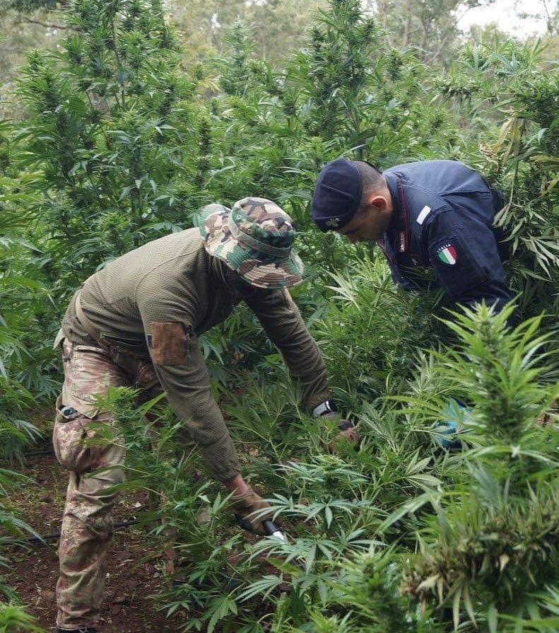 Gli notificano i domiciliari e trovano 76 chili di droga 