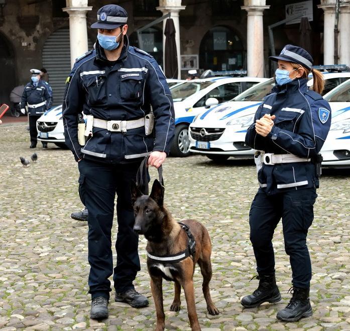 A Modena entro l’anno 350 telecamere Contrasto a spaccio e teppismo 