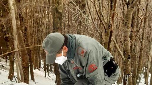 La neve “tradisce” i lupi: trovate tracce sulle Apuane
