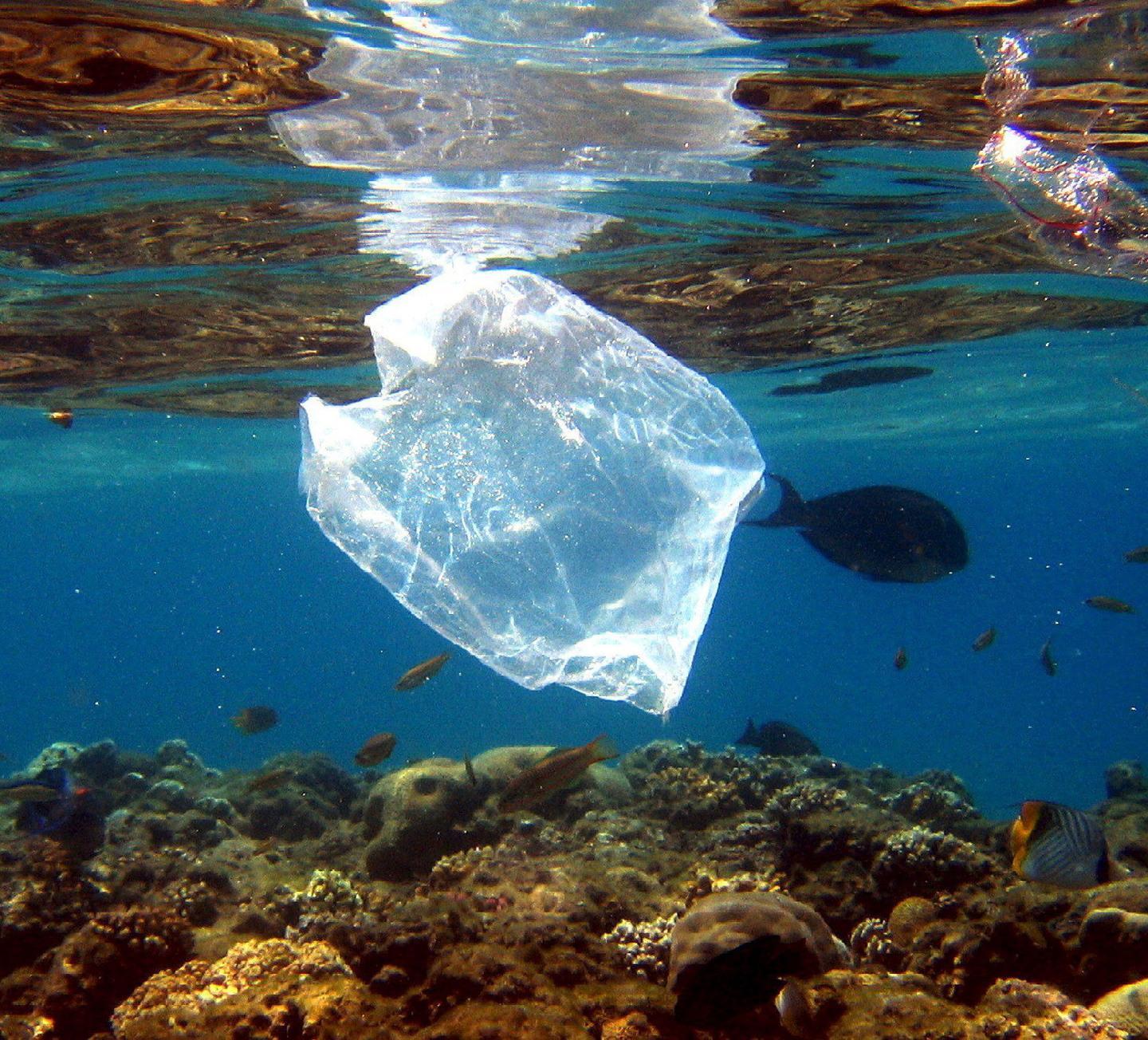 Le scelte giuste che fanno bene all’ambiente 