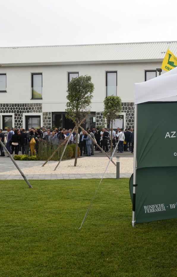 Santa alleanza tra i consorzi agrari: nasce Cai 