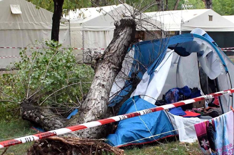 Inchiesta sulla morte delle sorelline, «Quel pioppo nel camping era malato» 