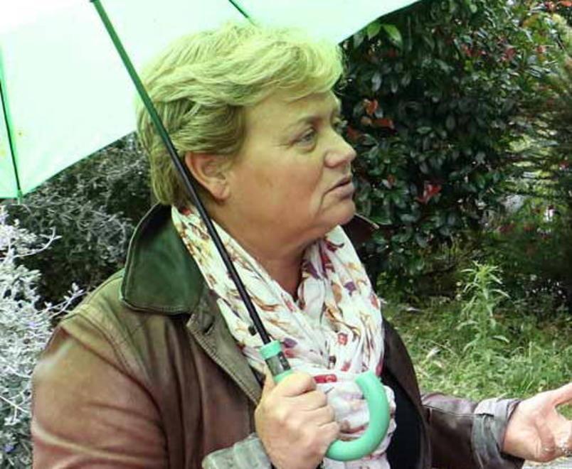 Mozione di sfiducia a Stefano Benedetti Opposizioni unite contro il presidente 