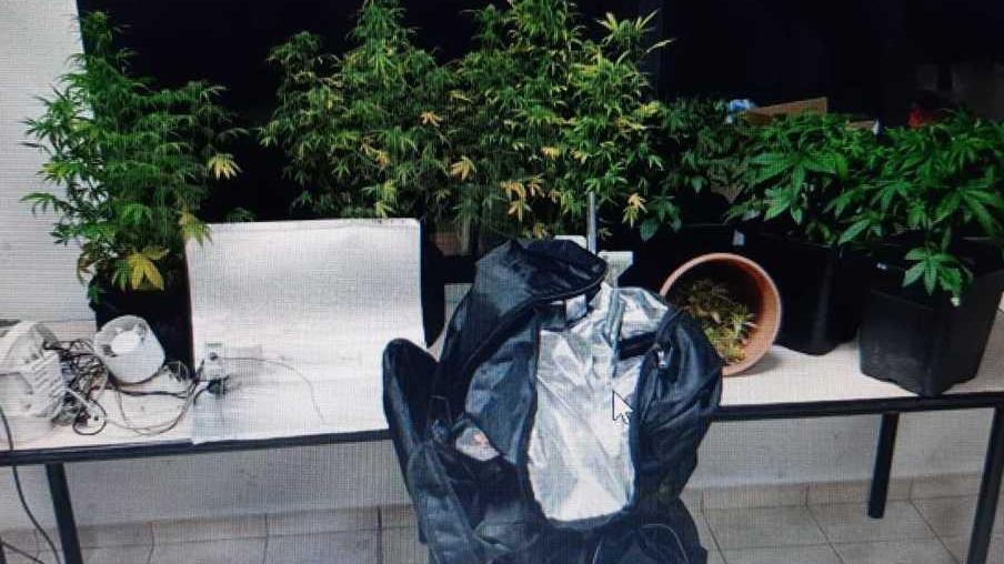 Minacciata dall’ex chiama i carabinieri che scoprono la droga