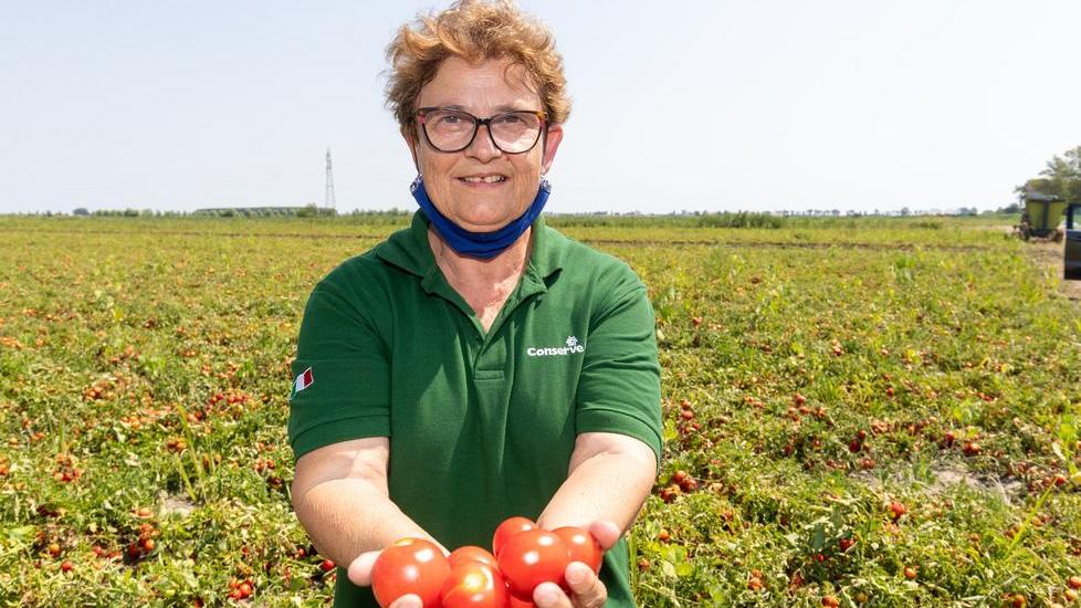 Sul pomodoro da industria la spinta dei lockdown