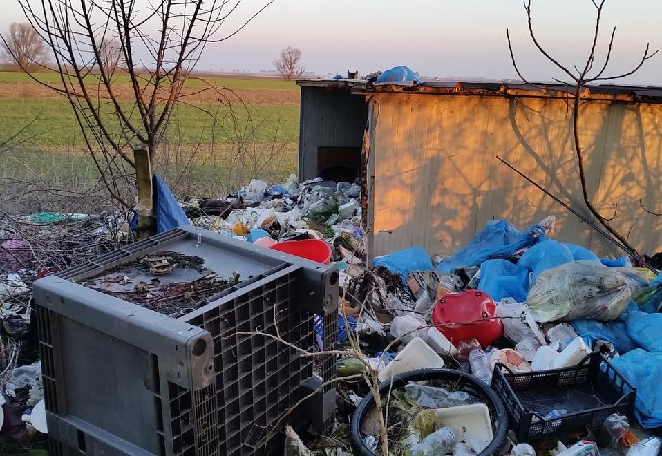 Pattume a cielo aperto Super lavoro per Clara e le spese si impennano 