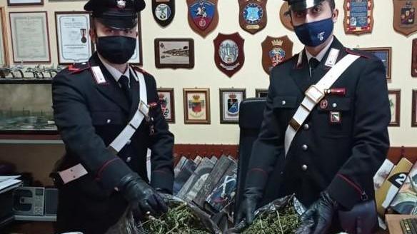 In casa di un laghese trovato oltre un chilo di marijuana