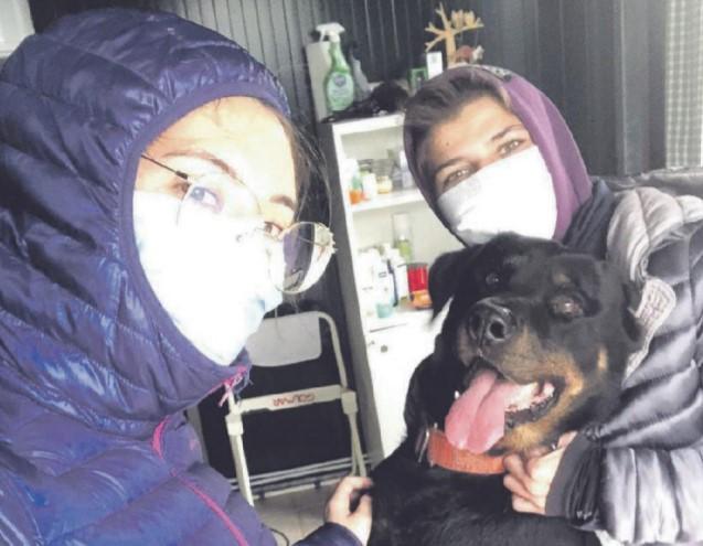 Foto dal profilo Facebook dell’associazione Amici animali a 4 zampe di Lajatico