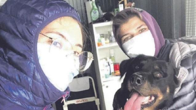 Foto dal profilo Facebook dell’associazione Amici animali a 4 zampe di Lajatico