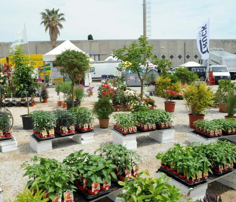 Fiera Mostra Aperte le iscrizioni per i partecipanti