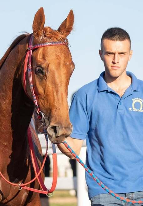 Morto fantino di 22 anni dopo la caduta in gara 