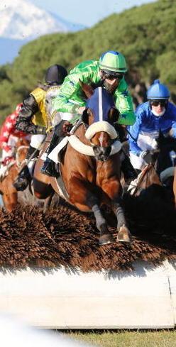 Dominique davanti a Bowler Hat nell’attesa Gran corsa siepi
