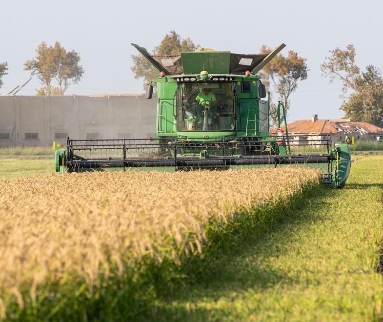 L’agricoltura ferrarese “salvata” dai giovani La tecnologia in campo 