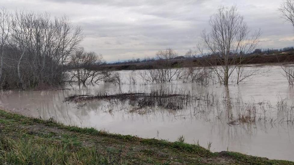La piena del Reno passa senza creare problemi Gli argini sotto controllo