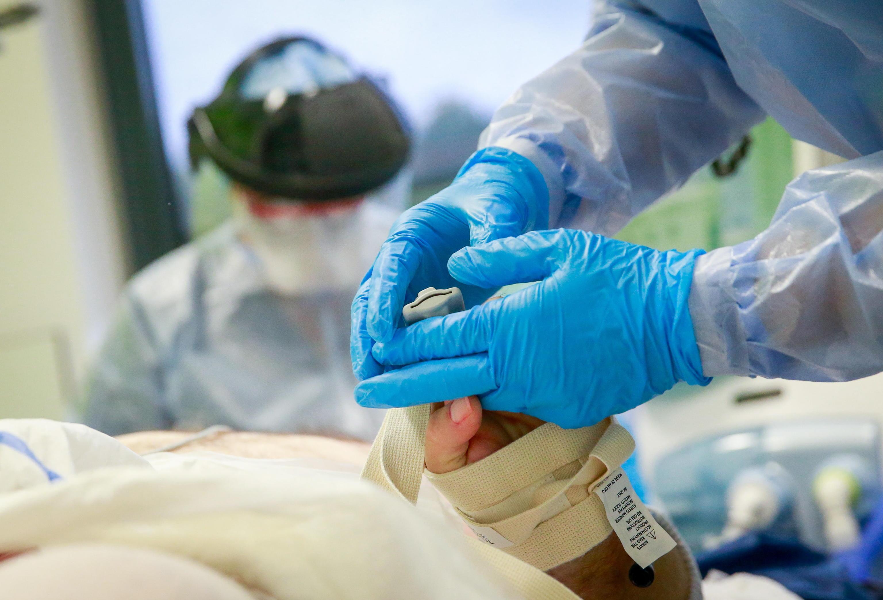 Malati di Covid curati con le cellule staminali: parte da Modena lo studio per una terapia innovativa
