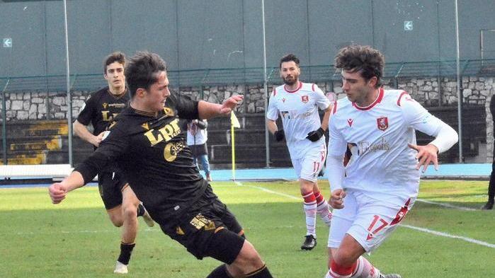 I possibili rinforzi biancorossi si chiamano Bortoluz e Chiorra