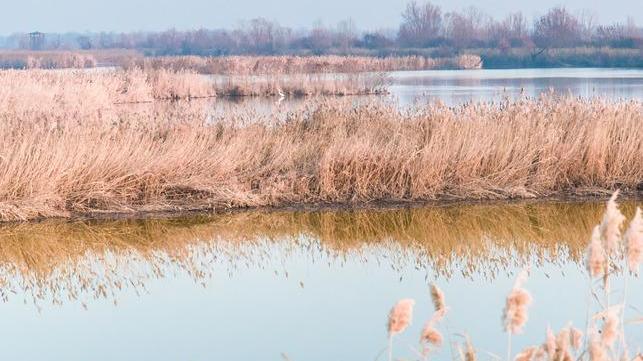 Domenica 31 riprendono le visite nelle Valli
