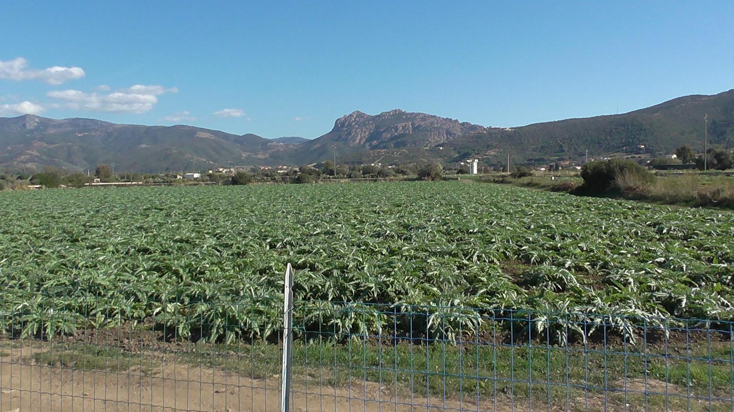 Un “Contratto di fiume” per la valle del Coghinas 