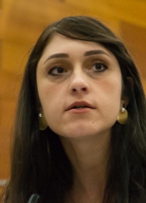 «Crisi assurda»