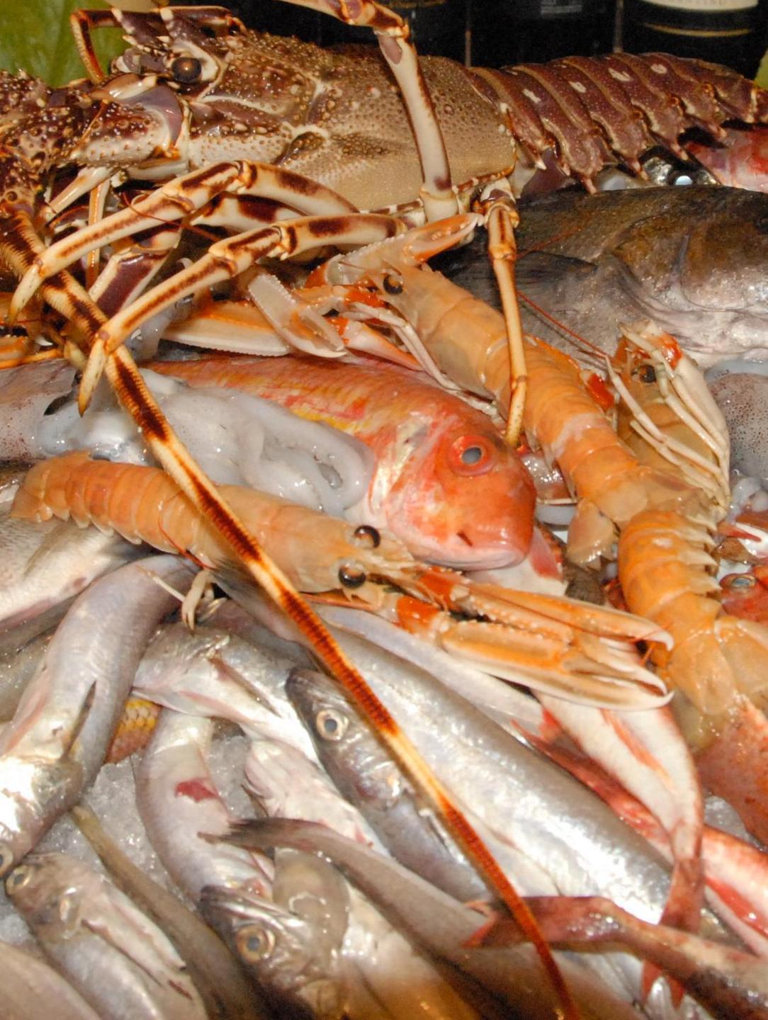 Dal grossista un aiuto per bar e ristoranti 