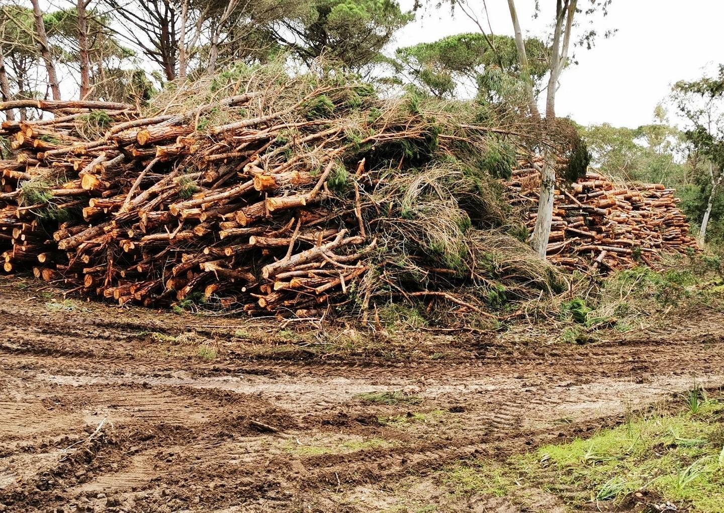 Istanza del Grig: «A Platamona bisogna ripristinare le dune»