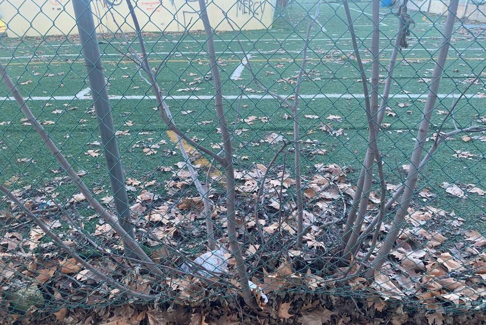Modena. Centro Invicta, il gioiello dello sport abbandonato nel degrado 