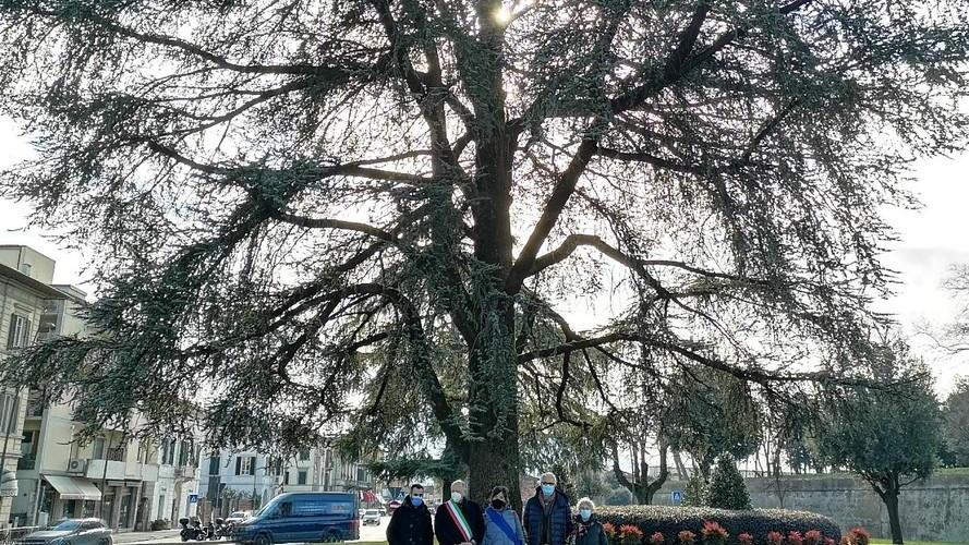 Sugli spalti nasce il “Giardino dei Giusti” con gli alberi di Fratel Paoli e don Aldo Mei