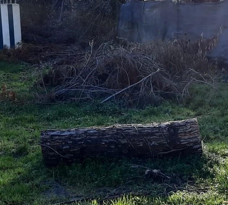 Lavori al campo di San Vito Ma rami, alberi e rifiuti non vengono portati via