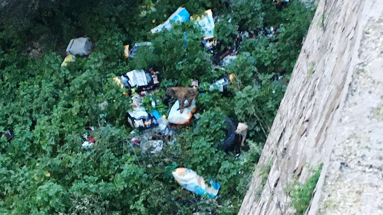 Cani come rifiuti: l’inferno della discarica di Isteddula 