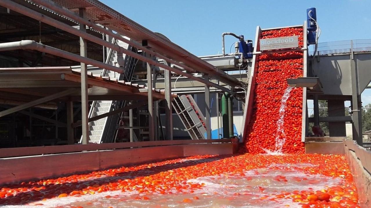 Casar investe: impianto elettrico avveniristico