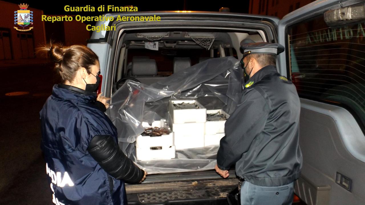 Pesce di provenienza ignota e non fresco: 50 chili sequestrati dalla Guardia di finanza di Cagliari