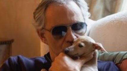 Aperta l’inchiesta sulla morte della cagnolina di Bocelli