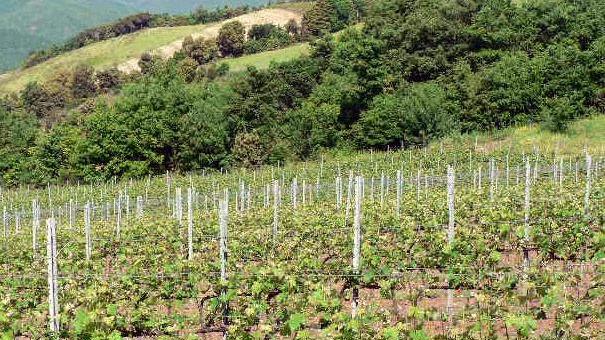 Alleanza tra i Comuni per attrarre residenti nella zona Covid-free
