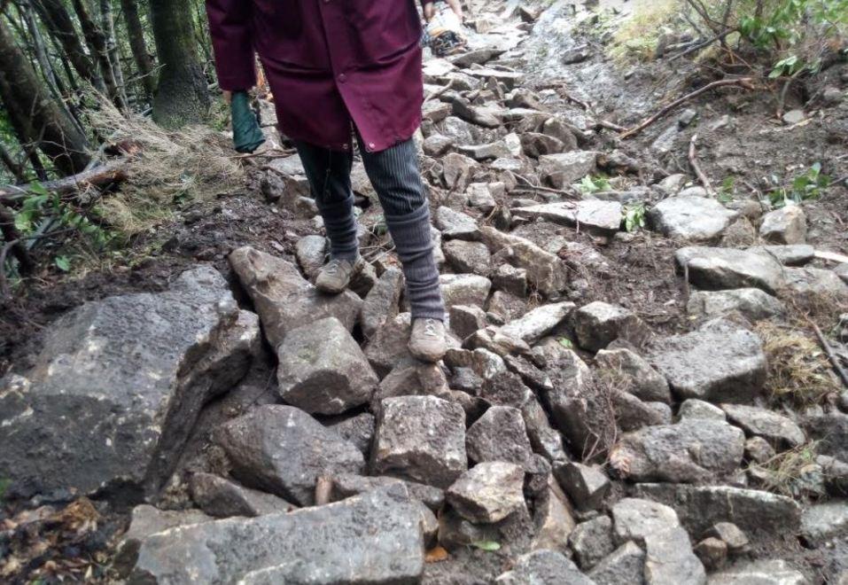 Rimercojo, firmata l’ordinanza Il Parco dà lo stop al cantiere