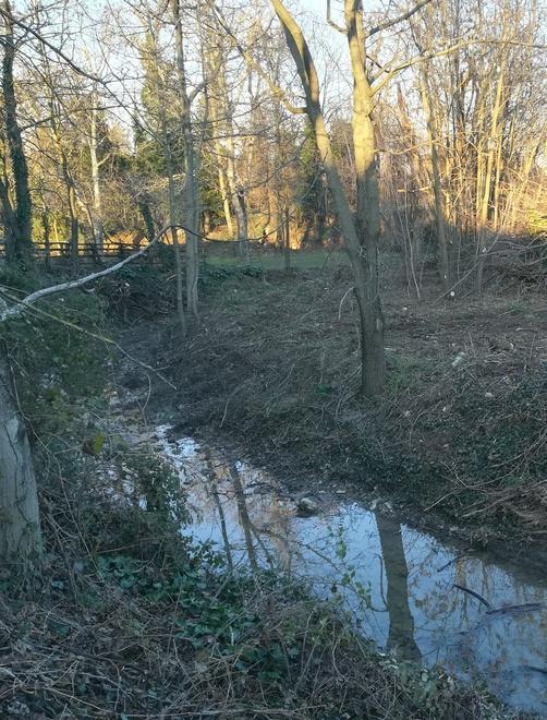 Taglio di vegetazione intorno al rio Nasce una polemica